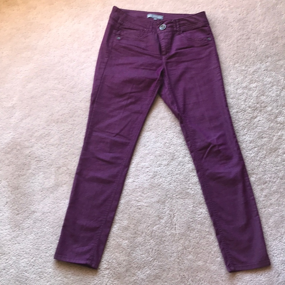 Wit and wisdom pants
